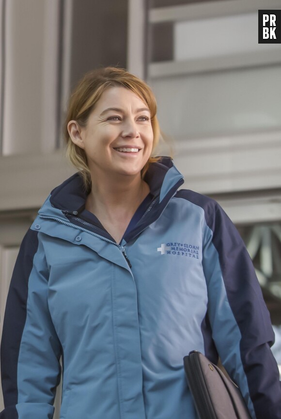 Grey's Anatomy saison 12 : Meredith bientôt de nouveau en couple ?