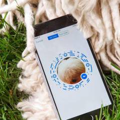 Messenger : Facebook copie Snapchat