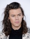 Harry Styles : adieu les cheveux longs pour le One Direction