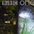     June et Steve ont fait appel à l'émission de décoration "Your Home in Their Hands" diffusée sur BBC One     
