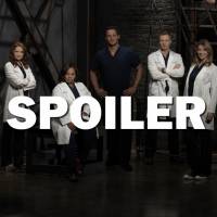 Grey&#039;s Anatomy saison 13 : les premières infos sur la suite