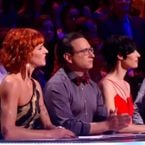 Danse avec les stars 7 : Amir, Karine Ferri et Laurie Cholewa candidats ?