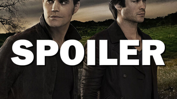 The Vampire Diaries saison 8 : voici la jolie brune qui pourrait séduire Alaric