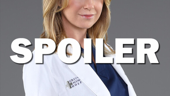 Grey's Anatomy saison 13 : Meredith bientôt officiellement en couple ?