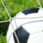 Ligue 1 ... les résultats du dimanche 31 janvier 2010 (22eme journée)