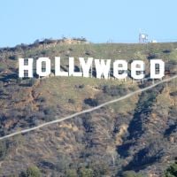 Hollywood, le panneau mythique transformé en "HollyWEED" : 2017, l'année de la moquette ?