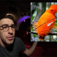 Max Bird en safari : nouveau concept original et passionnant pour le YouTubeur