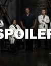 Grey's Anatomy saison 13 : Alex va-t-il vraiment aller en prison ?