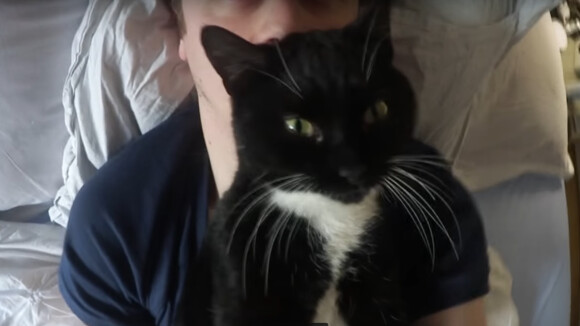 Norman : après la mort de Sergi, il adopte un nouveau chat
