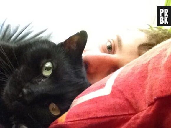 Norman dévasté par la mort de son chat noir Sergi : "J'ai pleuré comme une madeleine"