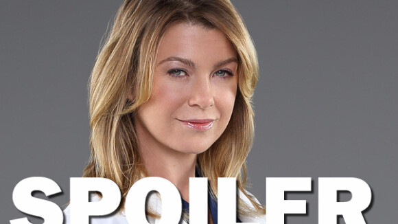 Grey's Anatomy saison 13 : un nouveau crash d'avion pour Meredith ?