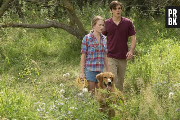 Mes vies de chien : K.J. Apa et Britt Robertson au casting