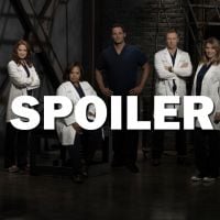 Grey&#039;s Anatomy saison 14 : (SPOILER) en danger de mort ?
