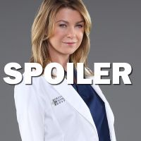 Grey&#039;s Anatomy saison 14 : Meredith bientôt en couple avec un nouveau personnage ?
