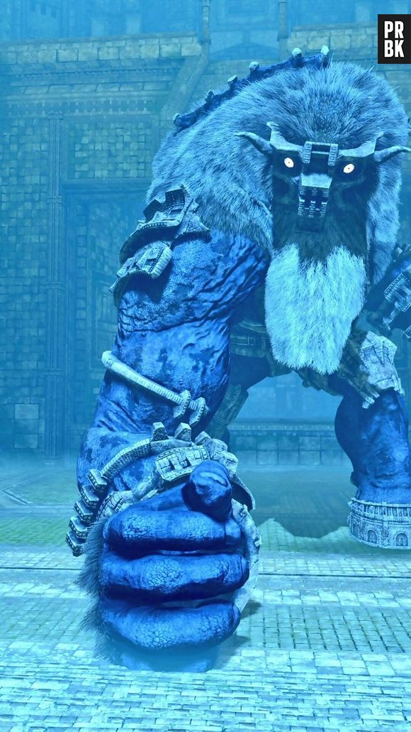 Shadow of the Colossus