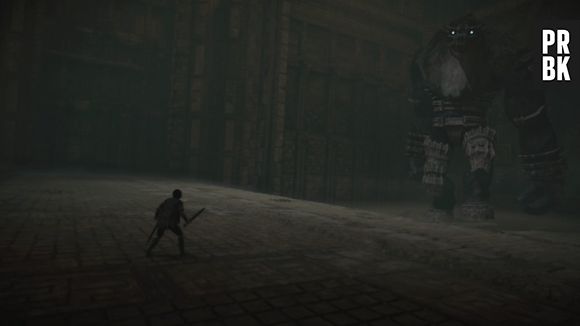Shadow of the Colossus