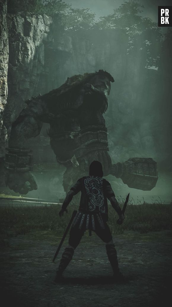Shadow of the Colossus