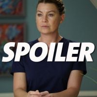 Grey&#039;s Anatomy saison 15 : le nouveau &quot;couple&quot; énerve déjà les fans