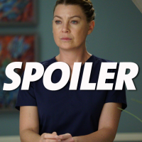 Grey's Anatomy saison 15 : le nouveau "couple" énerve déjà les fans