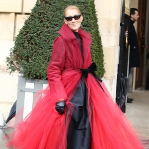Céline Dion fait partie des stars les plus cherchées pour leur looks en 2018.