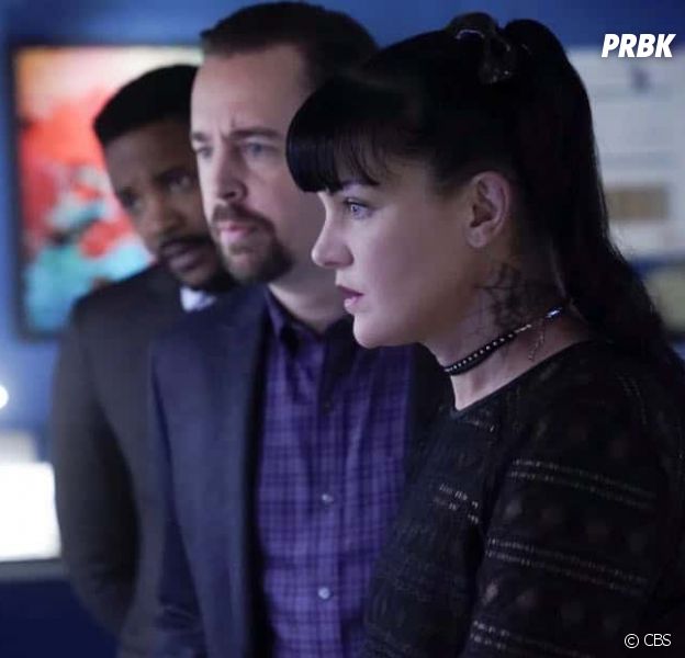 NCIS saison 16 : "difficile et triste", Sean Murray (McGee) en manque de Pauley Perrette (Abby)