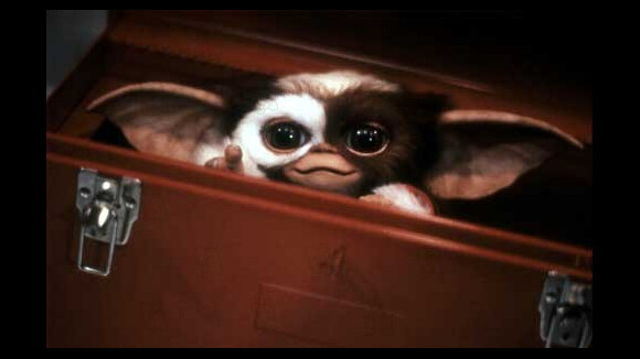 Les Gremlins de retour : une série animée commandée