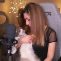 Alinity : la streameuse maltraite son chat en direct sur Twitch, les internautes et PETA scandalisés