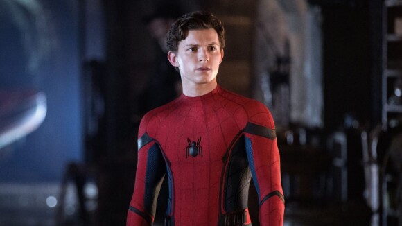 Spider-Man sans Tom Holland ? L'acteur rassure les fans et promet d'autres films "incroyables"