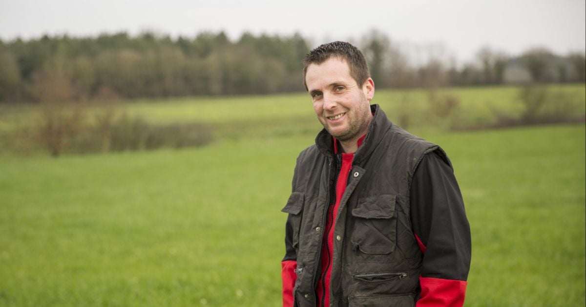Jean Francois Arabeyre L'amour Est Dans Le Pré