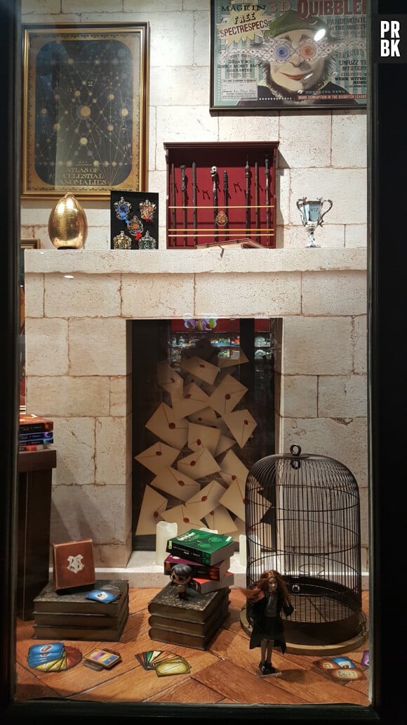 Harry Potter : fêtez Noël dans une boutique éphémère incroyable à Paris