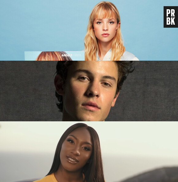 Aya Nakamura, Shawn Mendes, Angèle... Quels sont vos pronostics pour les NRJ Music Awards 2019 ?