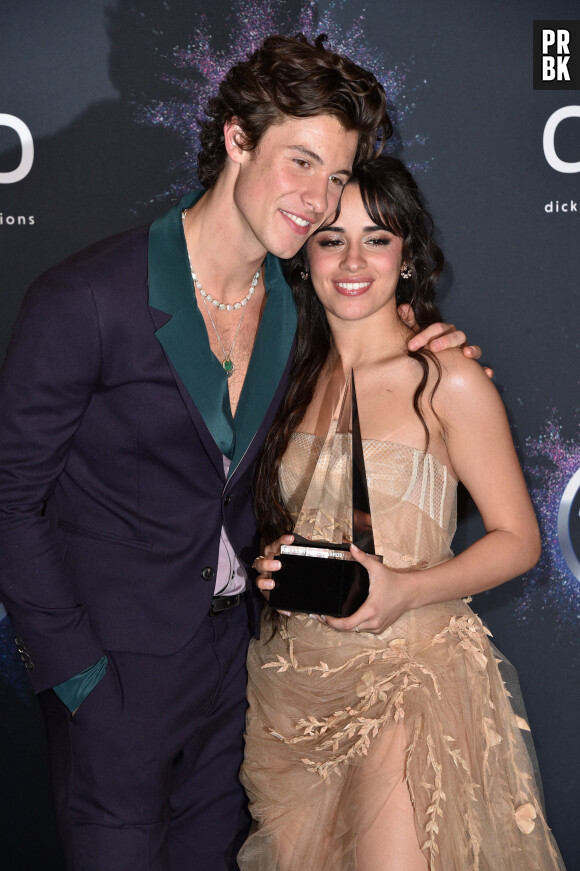 Camila Cabello critiquée sur son couple avec Shawn Mendes : elle répond avec humour