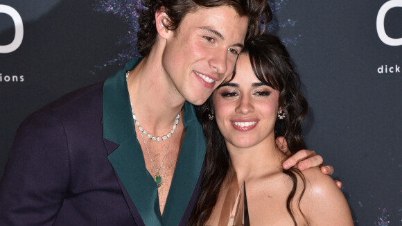 Camila Cabello critiquée sur son couple avec Shawn Mendes : elle répond avec humour