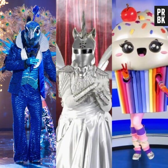 Mask Singer : que vont devenir les costumes après l'émission ?