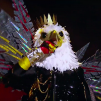 Mask Singer : Karl Zéro est-il l'aigle ? Il réagit à la rumeur en vidéo
