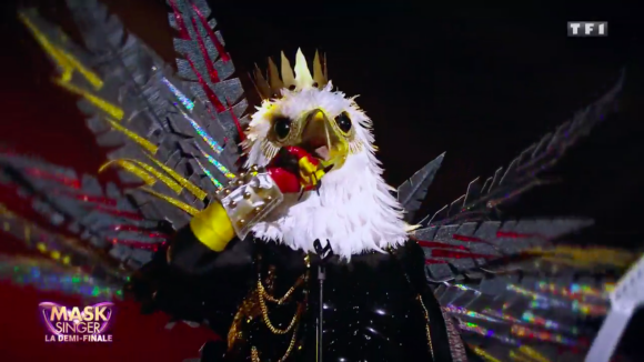 Mask Singer : Karl Zéro est-il l'aigle ? Il réagit à la rumeur en vidéo