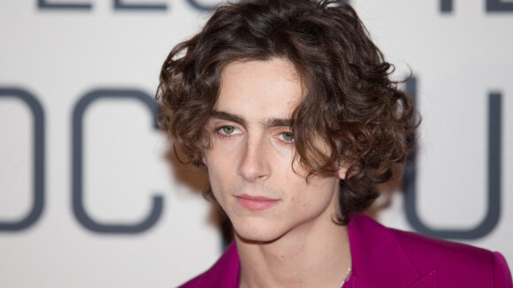 Timothée Chalamet : découvrez quelle grande star de la musique il pourrait jouer au cinéma