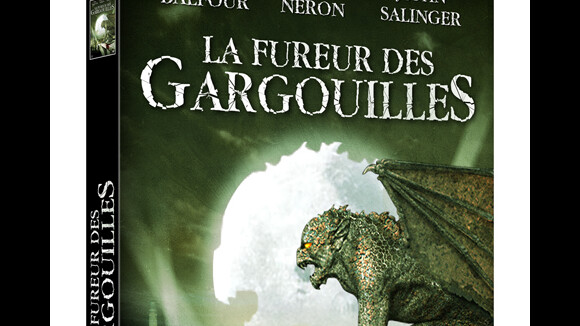 Le DVD La Fureur des Gargouilles en France le 23 novembre 2010