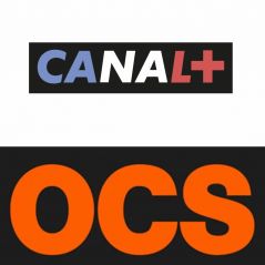 Canal+, OCS, ADN, Pornhub... Les chaînes et les sites qui deviennent gratuits pendant le confinement