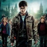 Job de rêve : être payé pour binge-watcher TOUS les Harry Potter