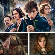 Les Animaux Fantastiques 3 : Hagrid et Hermione dans la suite de la franchise ?