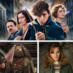 Les Animaux Fantastiques 3 : Hagrid et Hermione dans la suite de la franchise ?
