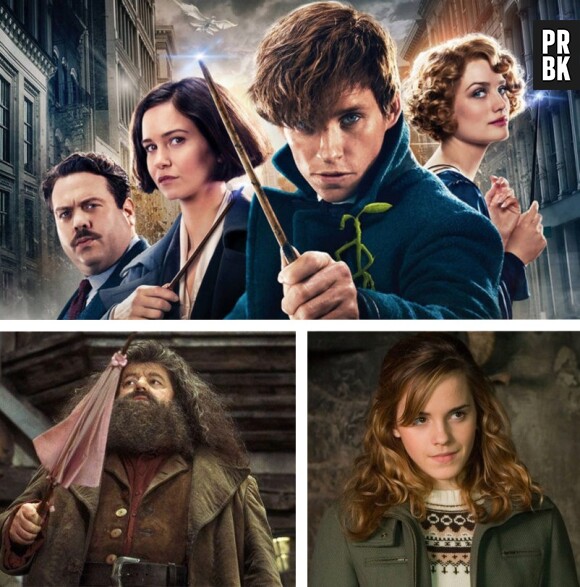 Les Animaux Fantastiques 3 : Hagrid et Hermione bientôt dans la suite de la franchise ?