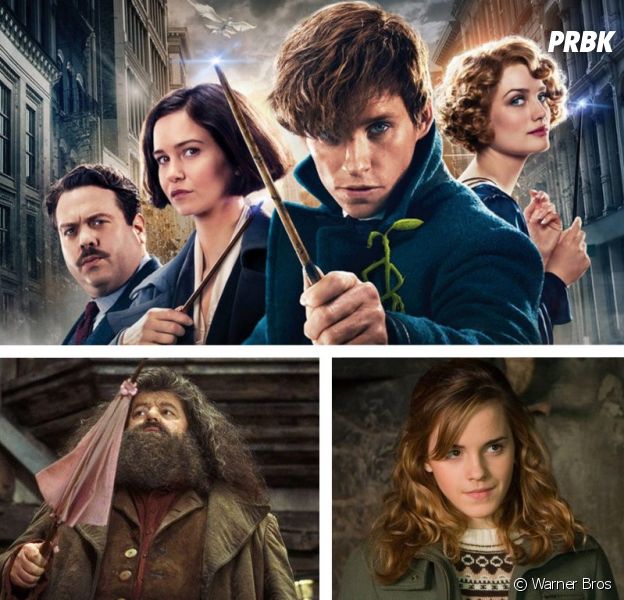 Les Animaux Fantastiques 3 Hagrid Et Hermione Dans La Suite De La Franchise Purebreak