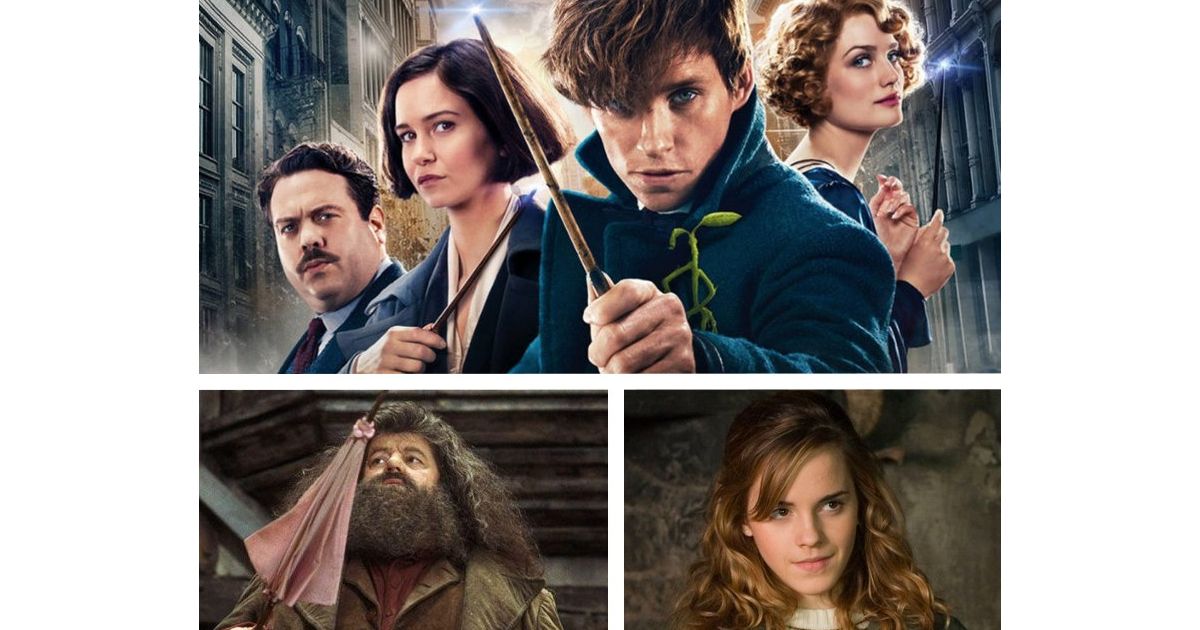 Post Generique Les Animaux Fantastiques 3 Les Animaux Fantastiques 3 : Hagrid et Hermione dans la suite de la