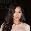 Mort de Naya Rivera : les stars de Glee créent un événement de charité en sa mémoire