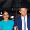 Meghan Markle enceinte de son 2e enfant avec le Prince Harry