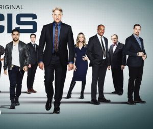 NCIS saison 19 : la série renouvelée, Mark Harmon (Gibbs) de retour, mais...