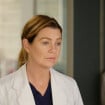 Grey's Anatomy saison 17 clashée par une fan : Ellen Pompeo la défend face aux twittos