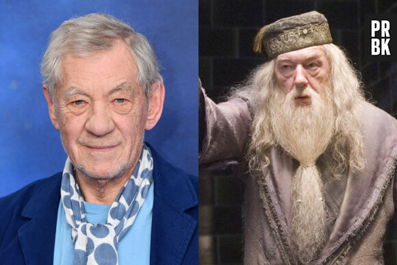 Ian McKellen a failli jouer dans la saga Harry Potter